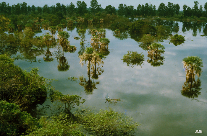 AÑO 1979 - COLOR - VIDA CAMPESINA EN PARAGUAY (JOSÉ MARÍA BLANCH)